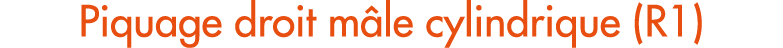 Piquage droit m le cylindrique (R1)